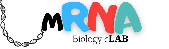 mRNA